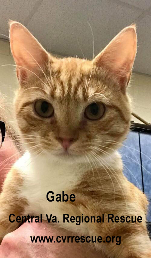 Gabe
